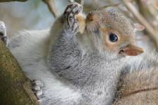 Jacky DUVERGER - Mégapix'Air