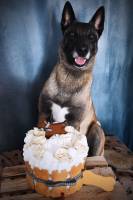 Mélissa FONDIN - MELPHOTOS